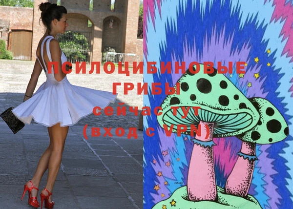 гашиш Аркадак