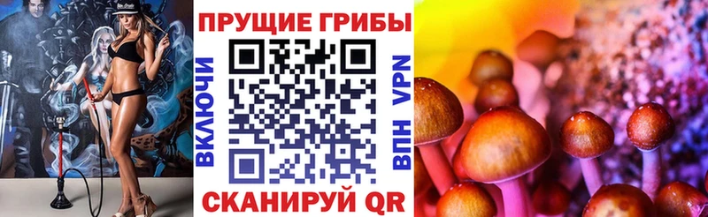 Псилоцибиновые грибы Psilocybine cubensis гидра онион Сенгилей купить наркотик